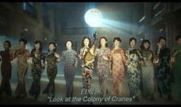 六站电影在线观看,畅游影视世界，尽享在线观影盛宴