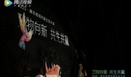 辰飞爆料中的视频,精彩瞬间一网打尽