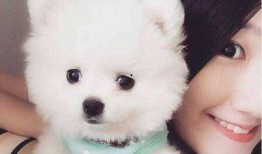 博美爆料新闻视频大全播放,新闻视频大全精彩瞬间回顾